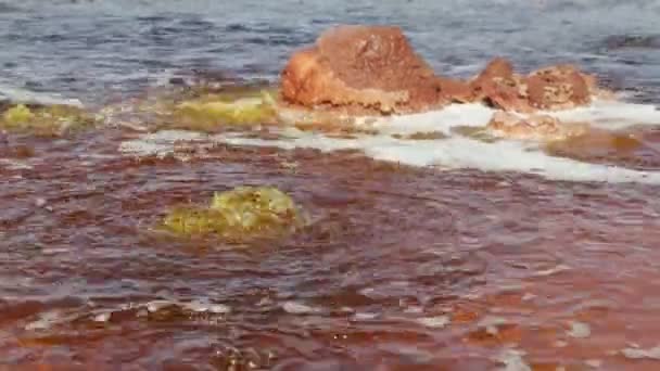 Vista Panoramica Acqua Bollente Del Lago Nero Etiopia — Video Stock