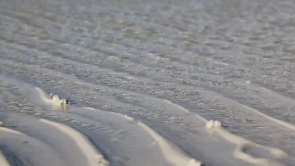 Красивий Вид Хвилі Океані Пляжі — стокове відео