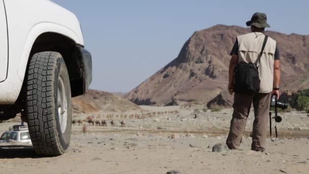 Vista Panorámica Caravana Camellos Personas Identificadas Desierto Durante Día — Vídeos de Stock