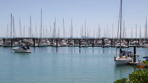 Pier Und Boote Auf Dem Meer Fraser Island Australien — Stockvideo