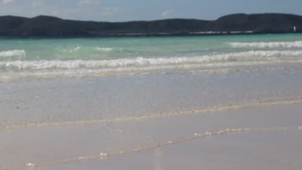 Praia Australiana Como Conceito Paraíso Relaxar — Vídeo de Stock