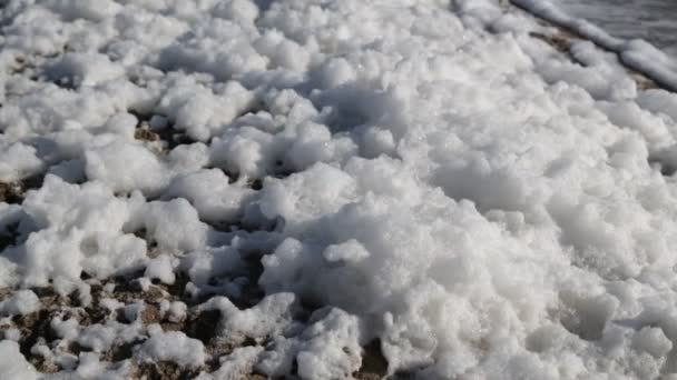 Close View Foam Salty Lake Ethiopia — Stock Video