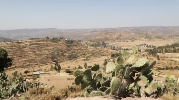 Colina Panorama Montaña Naturaleza Cerca Cactus — Vídeos de Stock