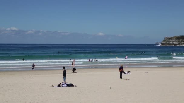 Australijski Plaży Jak Koncepcja Raju Relaks — Wideo stockowe