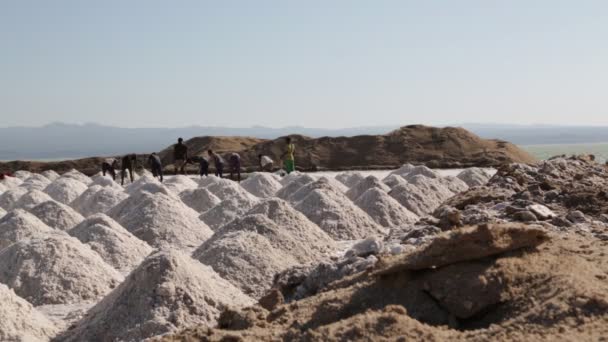 在盐业工作的不明身份者的风景 — 图库视频影像