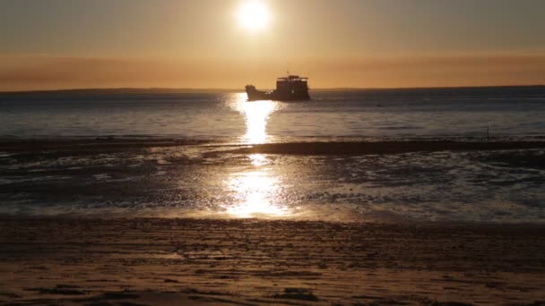 Човен Плаває Березі Океану Австралії Під Час Заходу Сонця — стокове відео