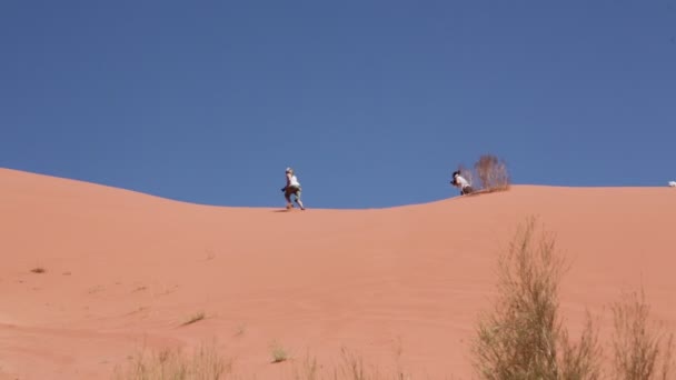 Turistas Caminando Desierto Durante Día — Vídeo de stock