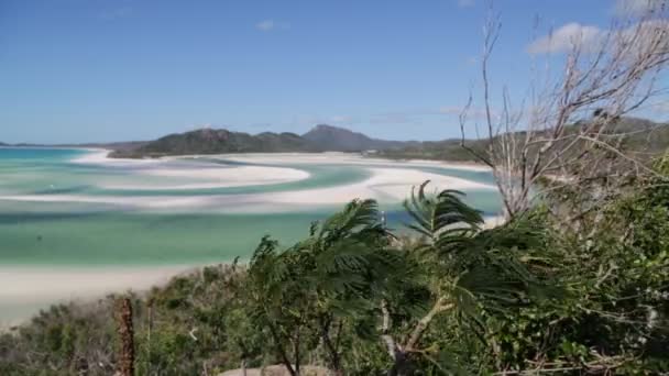 Australische Strand Houd Paradijs Concept Ontspannen — Stockvideo