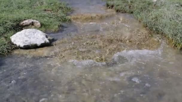 Volcanic Danakil Depression River Ethiopia — Stock Video