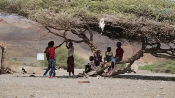 Etiopia Danakil Circa Styczeń 2018 Niezidentyfikowane Dzieci Bawią Się Naturze — Wideo stockowe