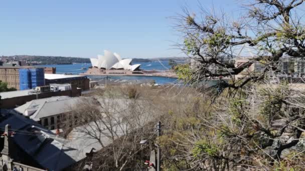 Opera House Dan Skylines Sydney — Stok Video