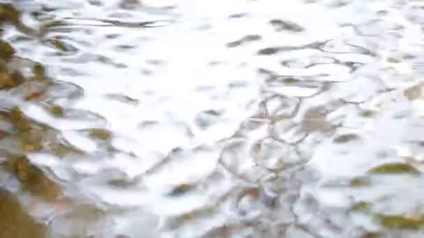 河流或湖泊波浪水面的宁静镜头 — 图库视频影像