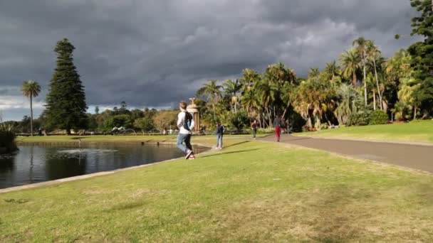 Persone Che Camminano Nel Verde Hyde Park Londra — Video Stock