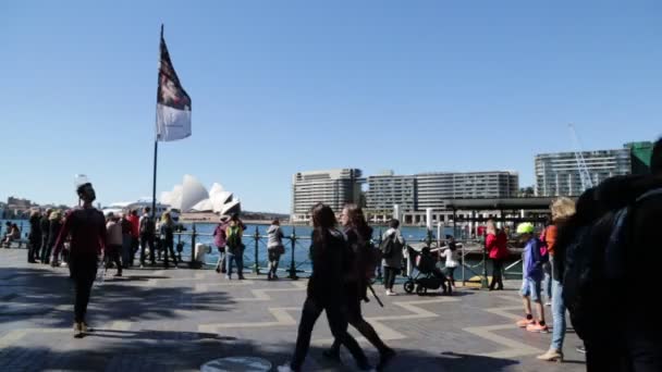 Opera House Panoramata Sydney — Stock video