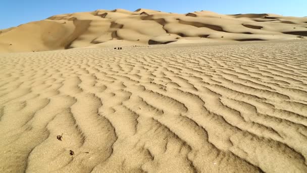 在阿曼和抽象运动风的片沙漠的沙丘 — 图库视频影像