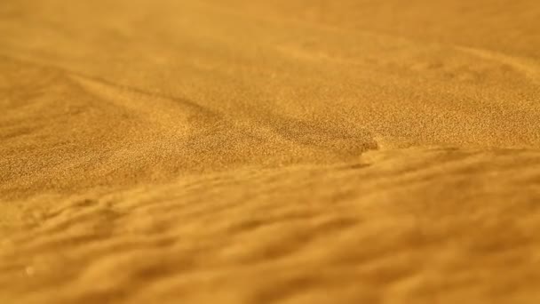 Zand deset Duin in oman en abstracte beweging van de wind — Stockvideo