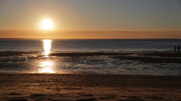 Playa Australiana Como Concepto Paraíso Relajarse — Vídeo de stock