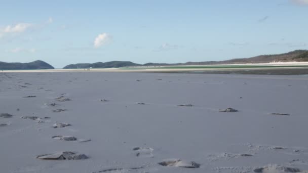 Australischen Strand Wie Paradies Konzept Und Entspannen — Stockvideo