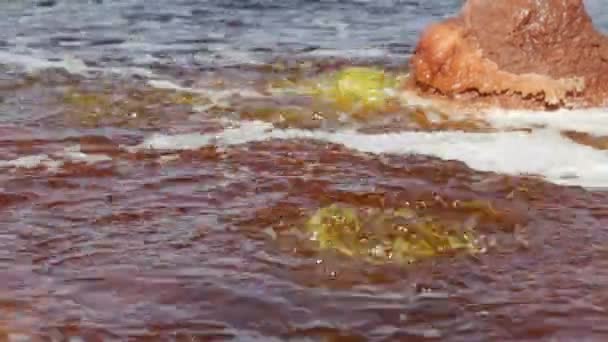Malerischer Blick Auf Kochendes Wasser Des Schwarzen Sees Äthiopien — Stockvideo