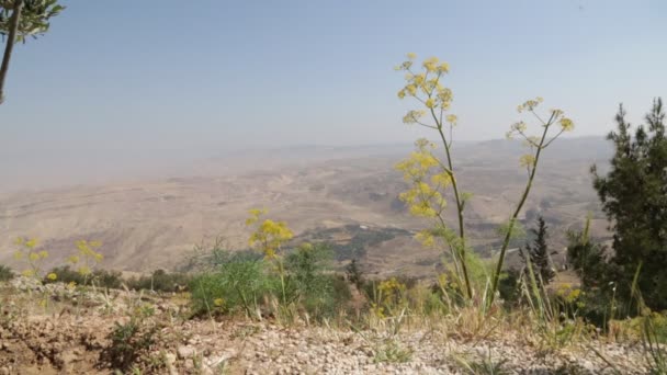 Hermoso Valle Del Golán Jordania — Vídeos de Stock
