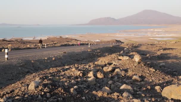 Hermoso Paisaje Lago Sal Danakil Etiopía — Vídeo de stock