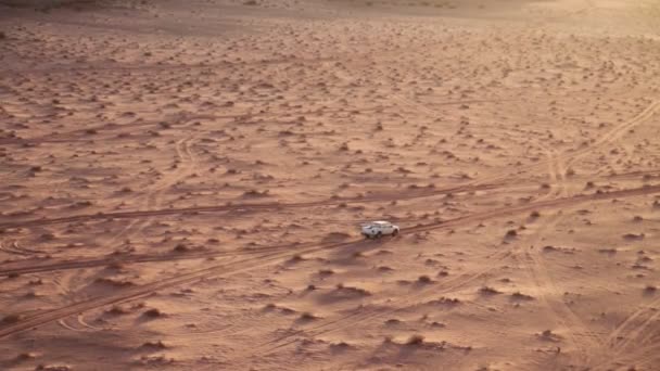 Voiture Dans Vieux Désert Jordanie — Video