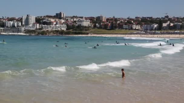 Avustralya Plaj Cennet Kavramı Gibi Sakin — Stok video