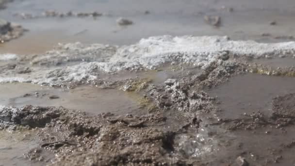 Siedendes Wasser Danakil Äthiopien Afrika Die Vulkanische Depression Von Dallol — Stockvideo