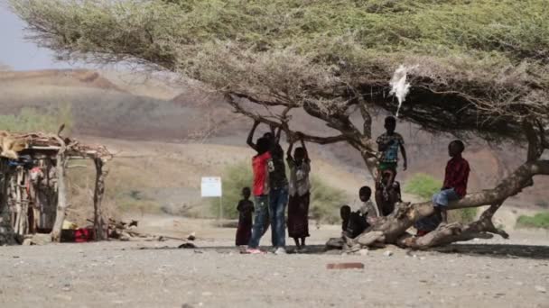 埃塞俄比亚 达纳基尔 2018年1月 身份不明的儿童在大自然中玩耍 — 图库视频影像