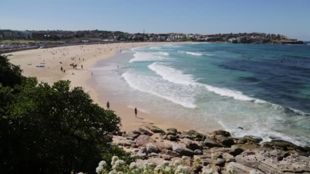 Spiaggia Australiana Come Concetto Paradiso Relax — Video Stock