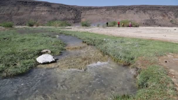Danakil Volcánico Depresión Río Etiopía — Vídeo de stock