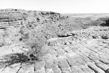 Avustralya vahşi Kral Kanyonu doğa ve taşra