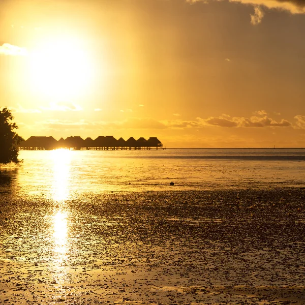 Polynesia Bora Bora Sunset Coastline Resort Paradise Concept Rela — Stock Photo, Image