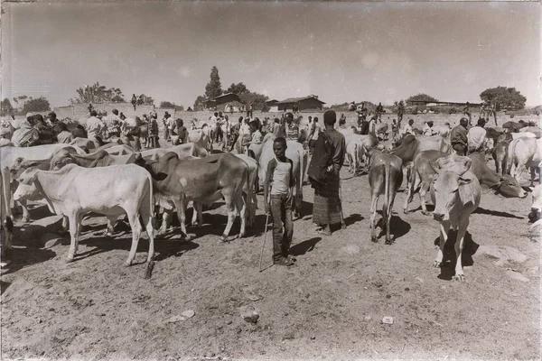 Éthiopie Bablile Circa Janvier 2018 Personnes Non Identifiées Sur Marché — Photo