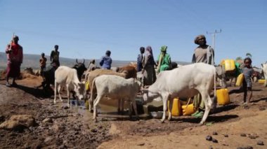 inek Pazar gündüz sırasında kimliği belirsiz kişilerin doğal görünümü