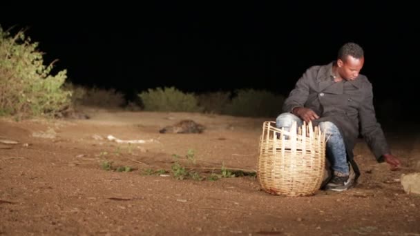 Oidentifierade Turist Utfodring Hyenan Natt Öknen — Stockvideo