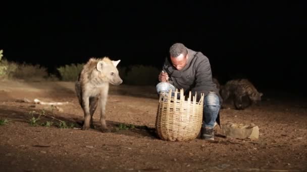 Neidentifikovaný Turistické Krmení Hyena Noční Poušť — Stock video