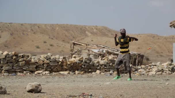 사막에서 불명된 사람들의 — 비디오