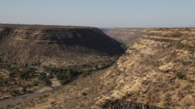 flora ve Etiyopya Milli parkta nehirde doğal görünümü