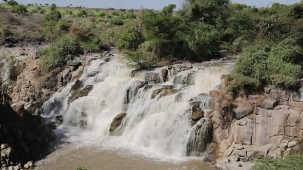 Γραφική Θέα Του Καταρράκτη Στο Εθνικό Πάρκο Της Αιθιοπίας — Αρχείο Βίντεο