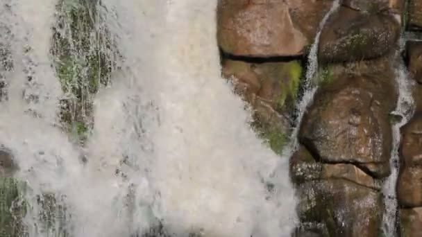 埃塞俄比亚国家公园瀑布的景致 — 图库视频影像