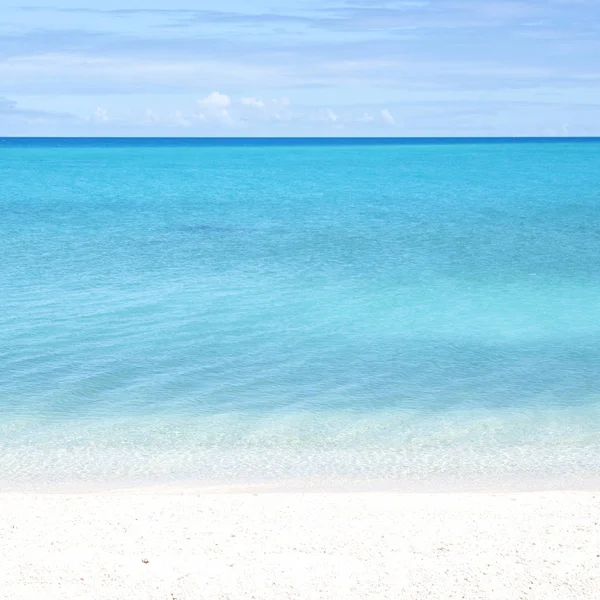 Polynesië Rangiroa Zoals Het Roze Zand Van Kustlijn Paradijs Concept — Stockfoto