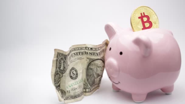 猪银行和比特币在白色背景 像货币和投资的概念 — 图库视频影像