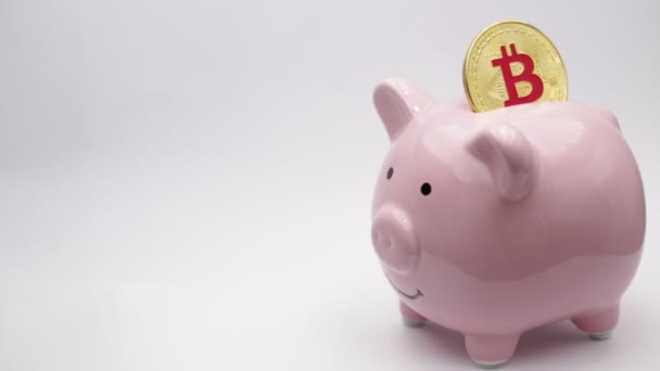 Sparschwein Mit Dollar Und Bitcoin Auf Weißem Hintergrund Wie Konzept — Stockvideo