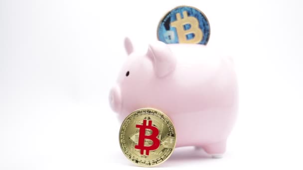Piggy Bank Bitcoins Witte Achtergrond Zoals Concept Van Geld Investeringen — Stockvideo