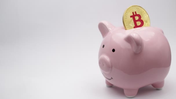 Piggy Bank Met Dollar Bitcoin Witte Achtergrond Zoals Concept Van — Stockvideo