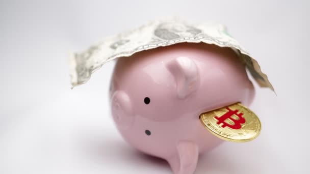 Čuňasova Banka Dolarem Bitminci Bílém Pozadí Jako Koncept Peněz Investic — Stock video