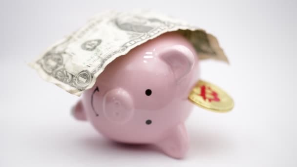 猪银行与美元和比特币的白色背景 像货币和投资的概念 — 图库视频影像