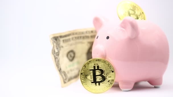 Sparschwein Mit Dollar Und Bitcoins Auf Weißem Hintergrund Wie Konzept — Stockvideo