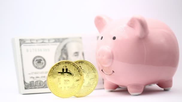 Alcancía Con Dólares Bitcoins Sobre Fondo Blanco Como Concepto Dinero — Vídeos de Stock